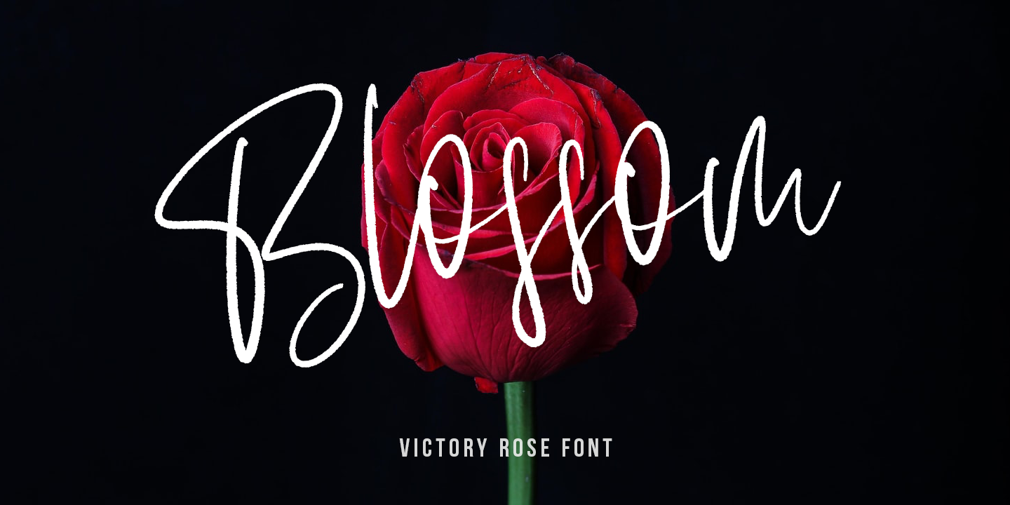 Пример шрифта Victory Rose #2